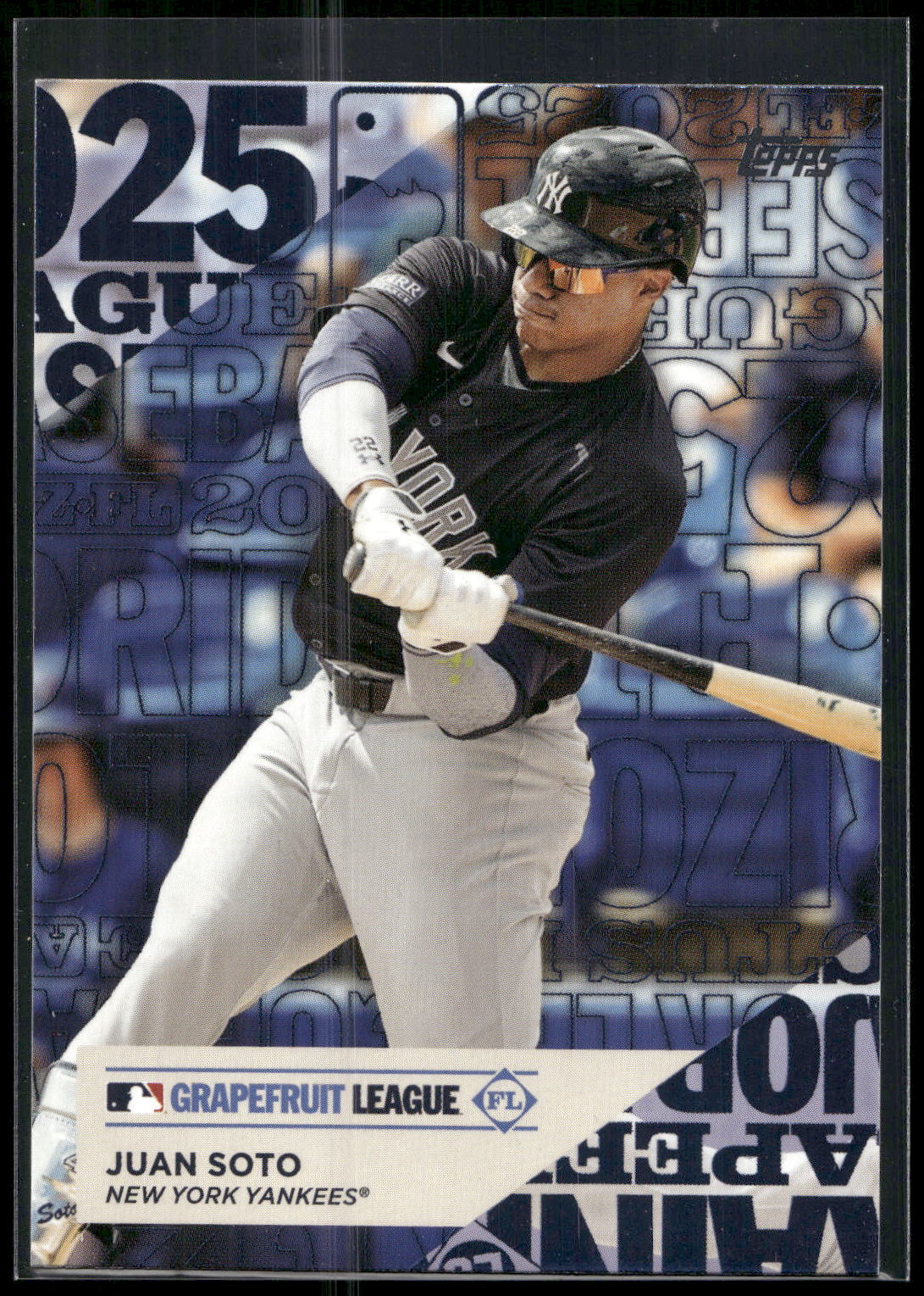 2025 Topps #TG-22 Juan Soto Training Grounds