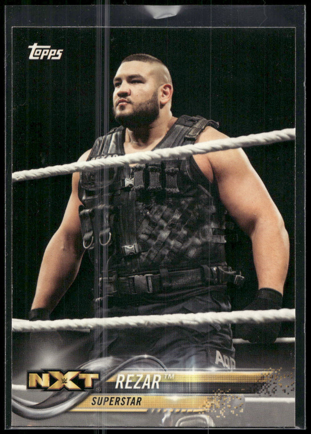 2018 Topps WWE #76 Rezar
