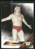 2016 Topps WWE #54 Barry Windham
