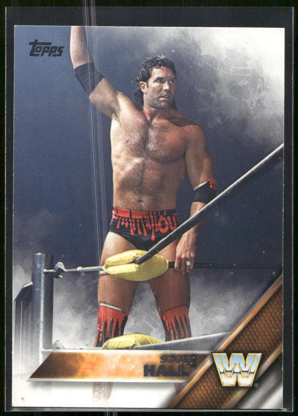 2016 Topps WWE #91 Scott Hall