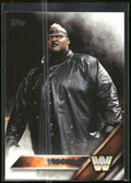 2016 Topps WWE Then Now Forever #199 Viscera