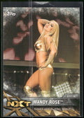 2017 Topps WWE Women's Division #NXT-19 Mandy Rose NXT Matches and Moments