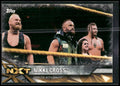 2017 Topps WWE Women's Division #NXT-23 Nikki Cross NXT Matches and Moments