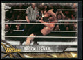2017 Topps WWE Road To Wrestlemania #29 Brock Lesnar