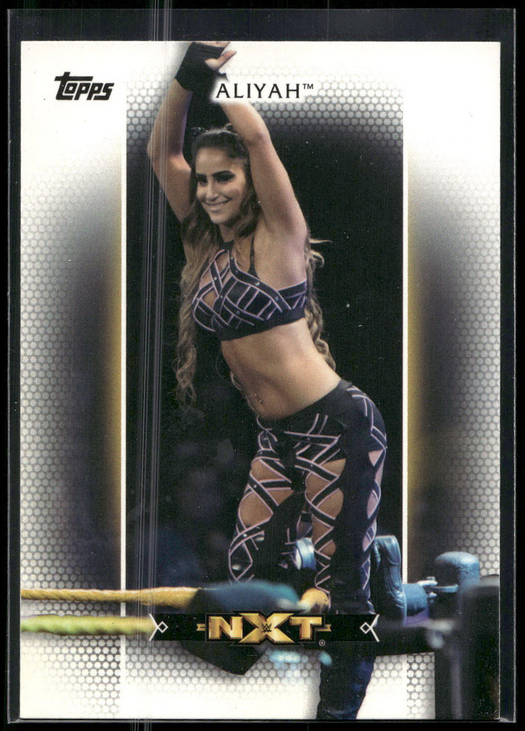 2017 Topps WWE Women's Division #R-1 Aliyah