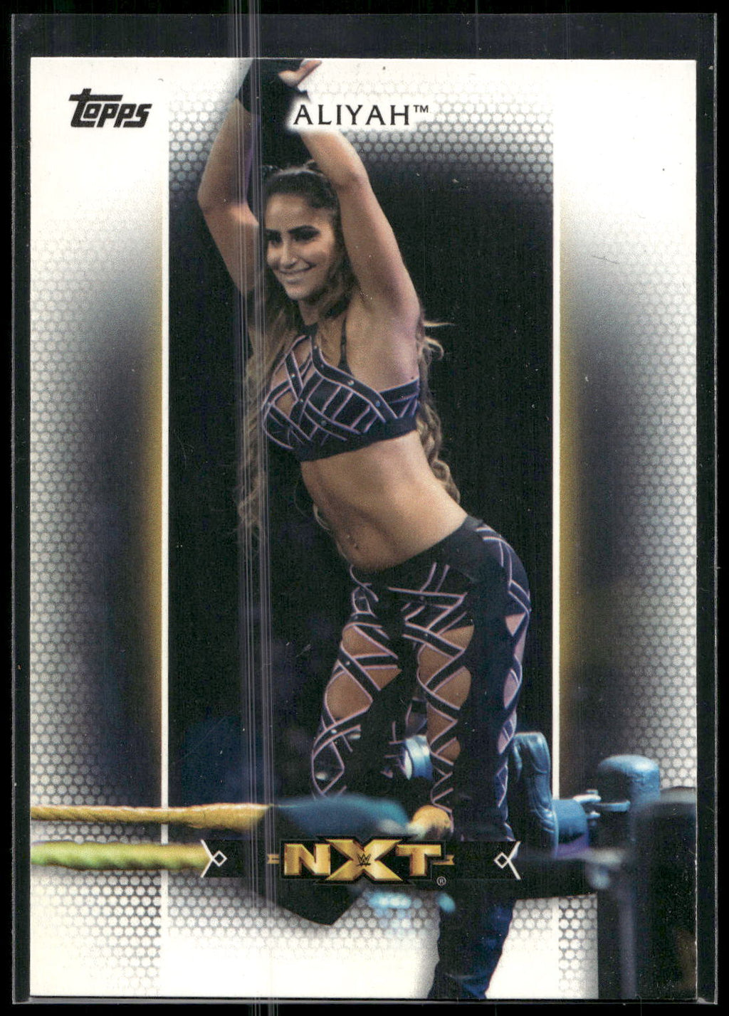 2017 Topps WWE Women's Division #R-1 Aliyah