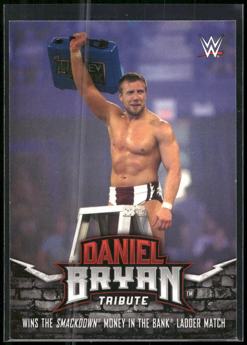 2017 Topps WWE Road To Wrestlemania #8 Daniel Bryan Daniel Bryan Tribute