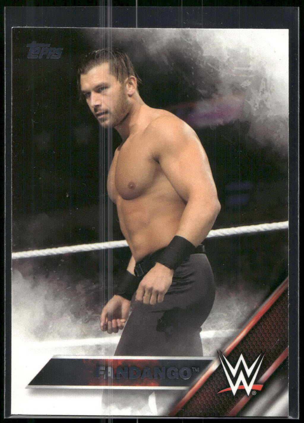 2016 Topps WWE #20 Fandango