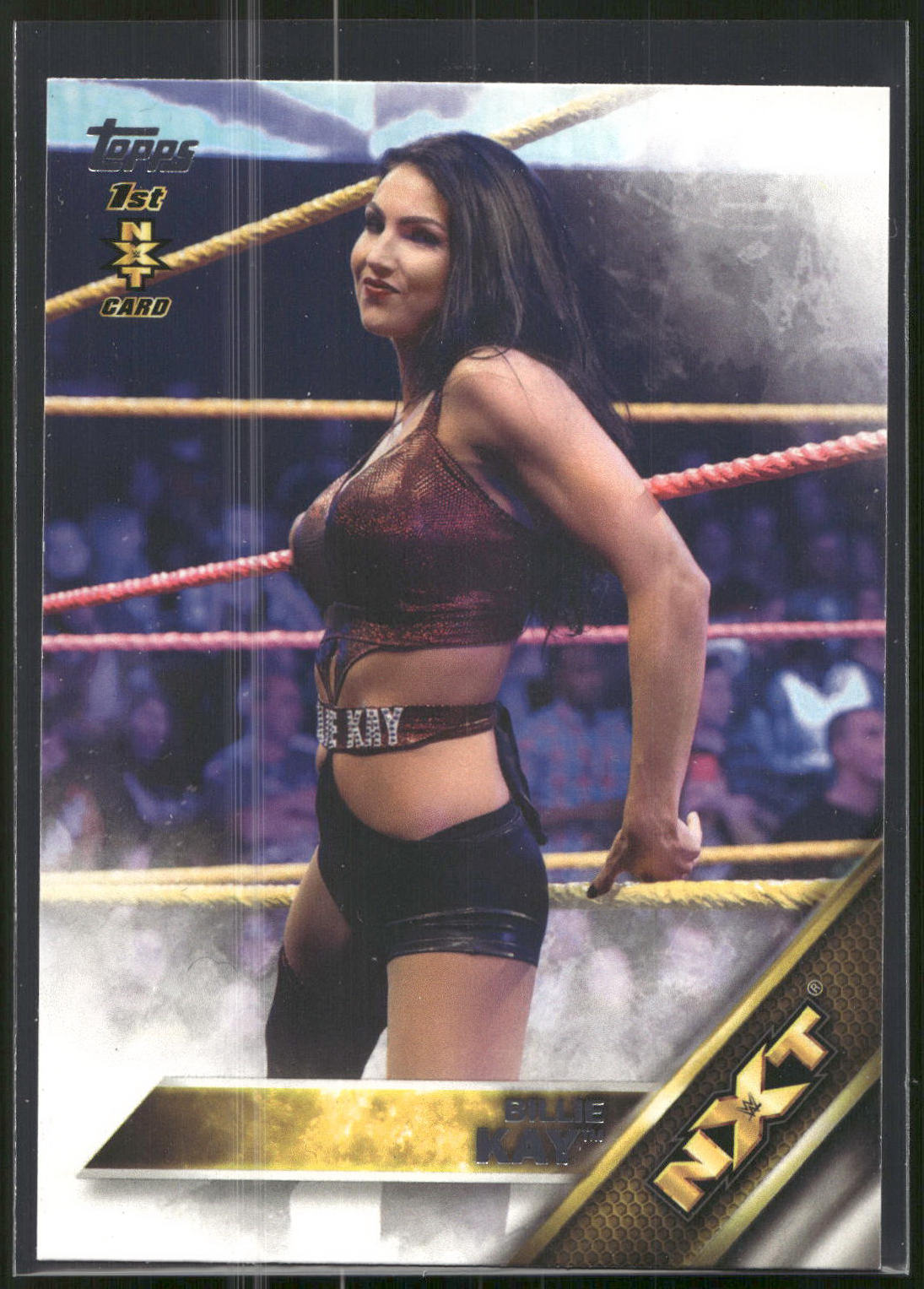 2016 Topps WWE #8 Billie Kay NXT