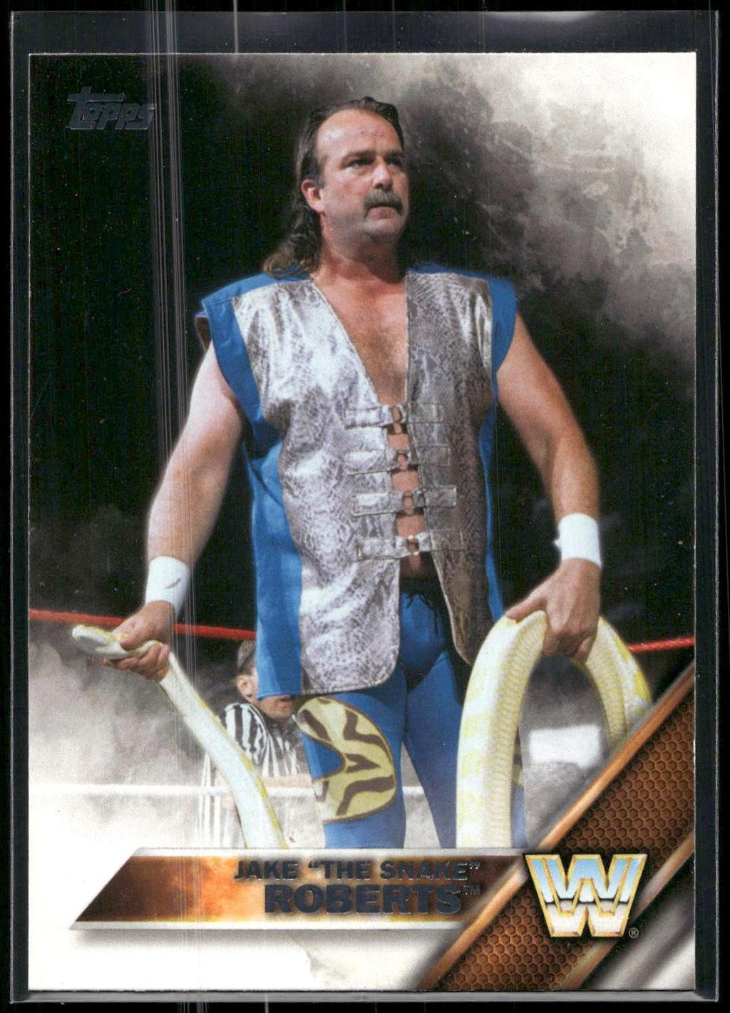 2016 Topps WWE #67 Jake "The Snake" Roberts