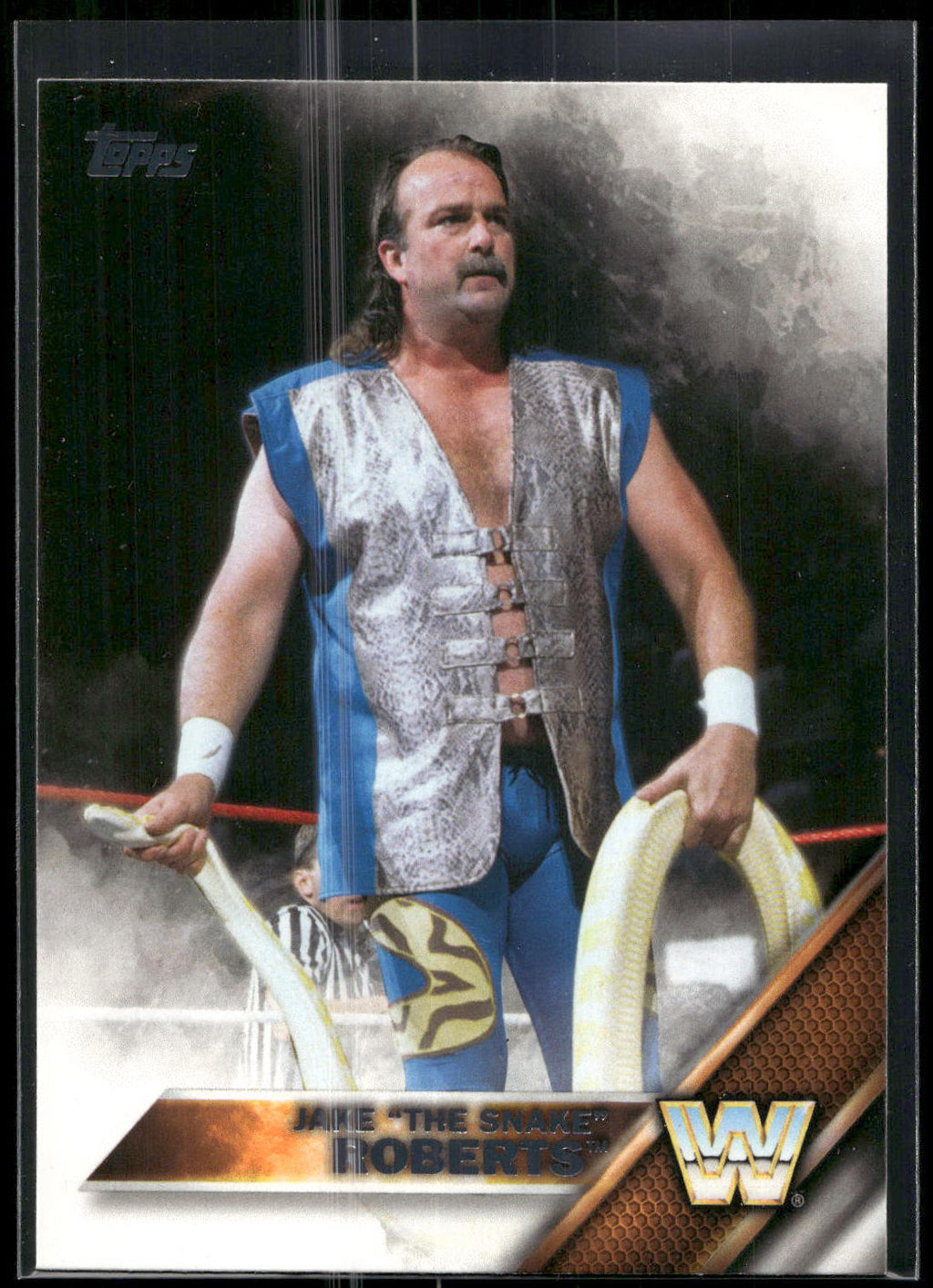 2016 Topps WWE #67 Jake "The Snake" Roberts