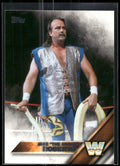 2016 Topps WWE #67 Jake "The Snake" Roberts