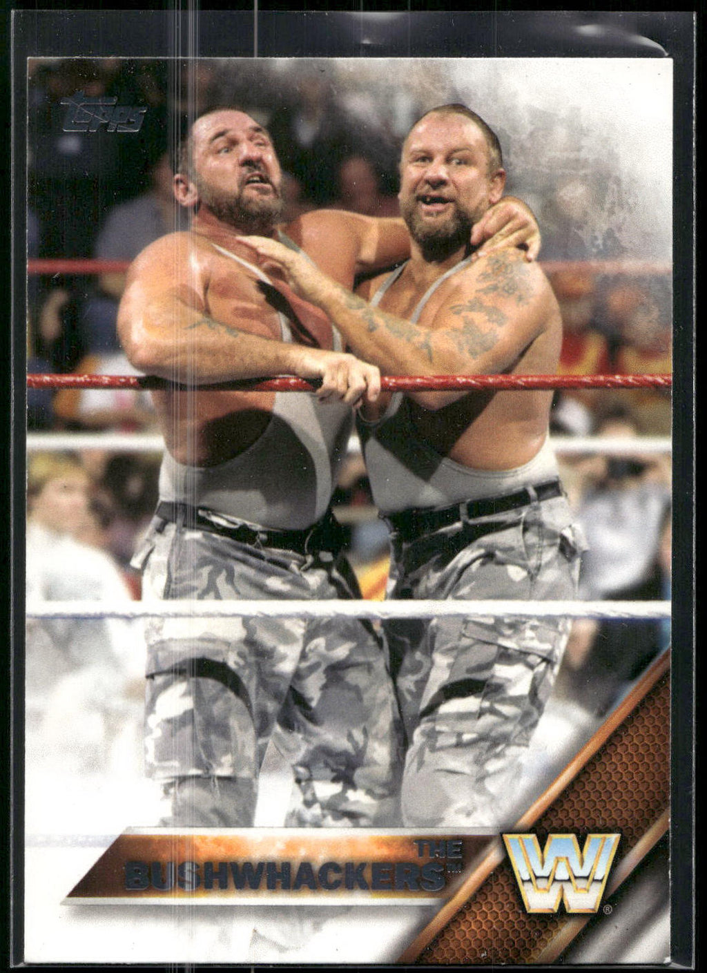 2016 Topps WWE #58 The Bushwhackers