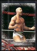 2017 Topps WWE Road To Wrestlemania #72 Cesaro