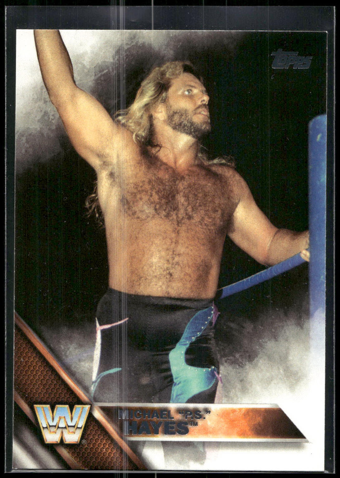 2016 Topps WWE Then Now Forever #182 Michael "P.S." Hayes