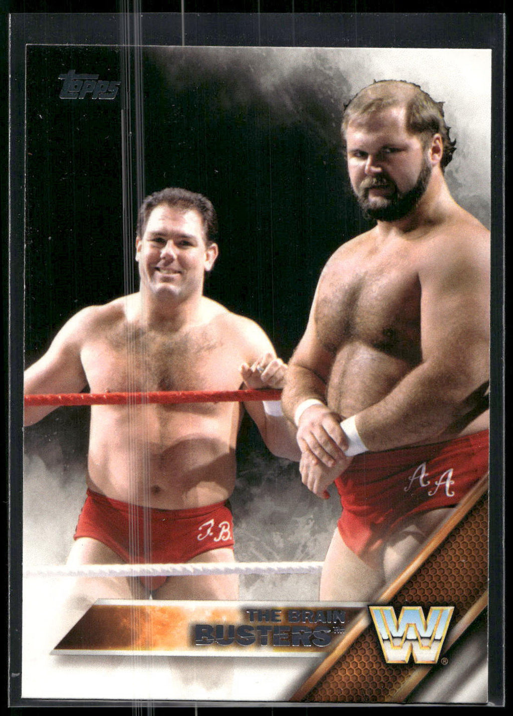 2016 Topps WWE #56 The Brain Busters