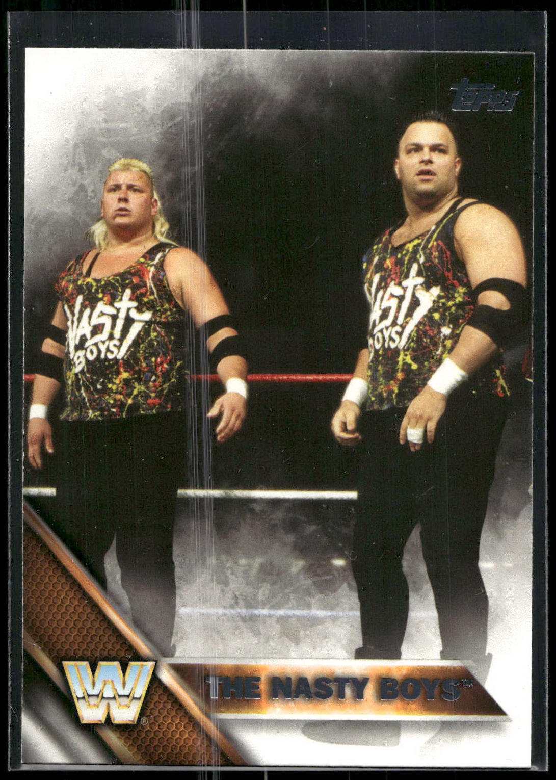 2016 Topps WWE #80 The Nasty Boys