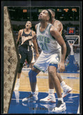 1994-95 SP #110 Stacey King