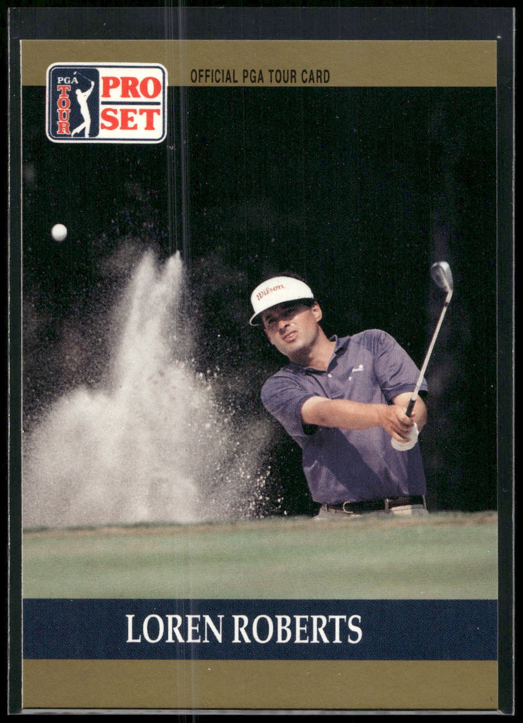 1990 Pro Set PGA Tour #33 Loren Roberts