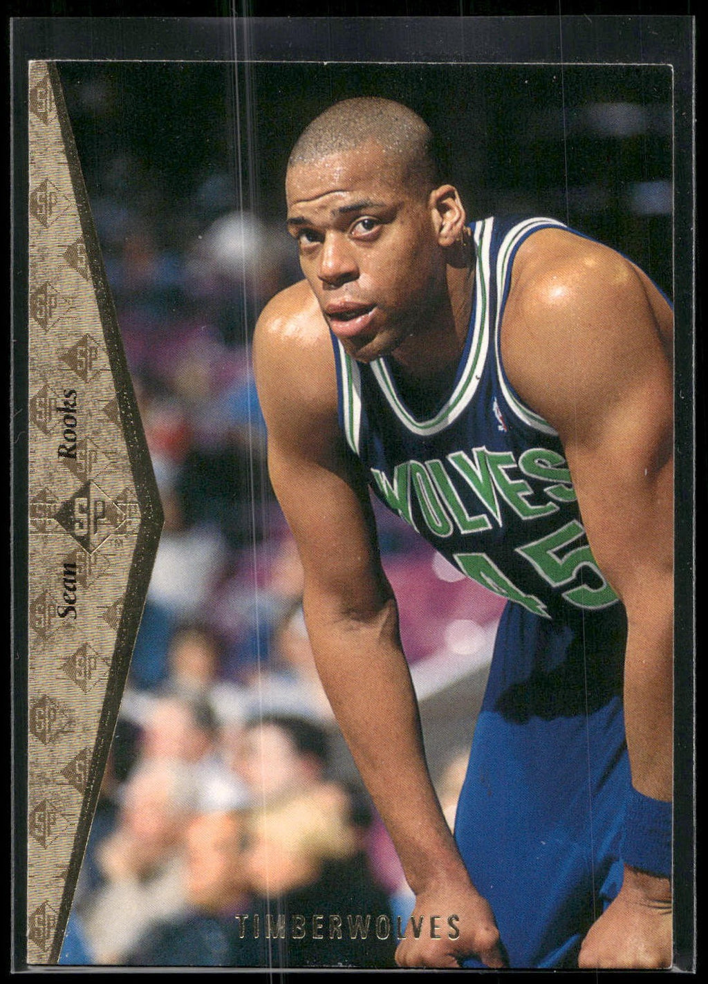 1994-95 SP #109 Sean Rooks