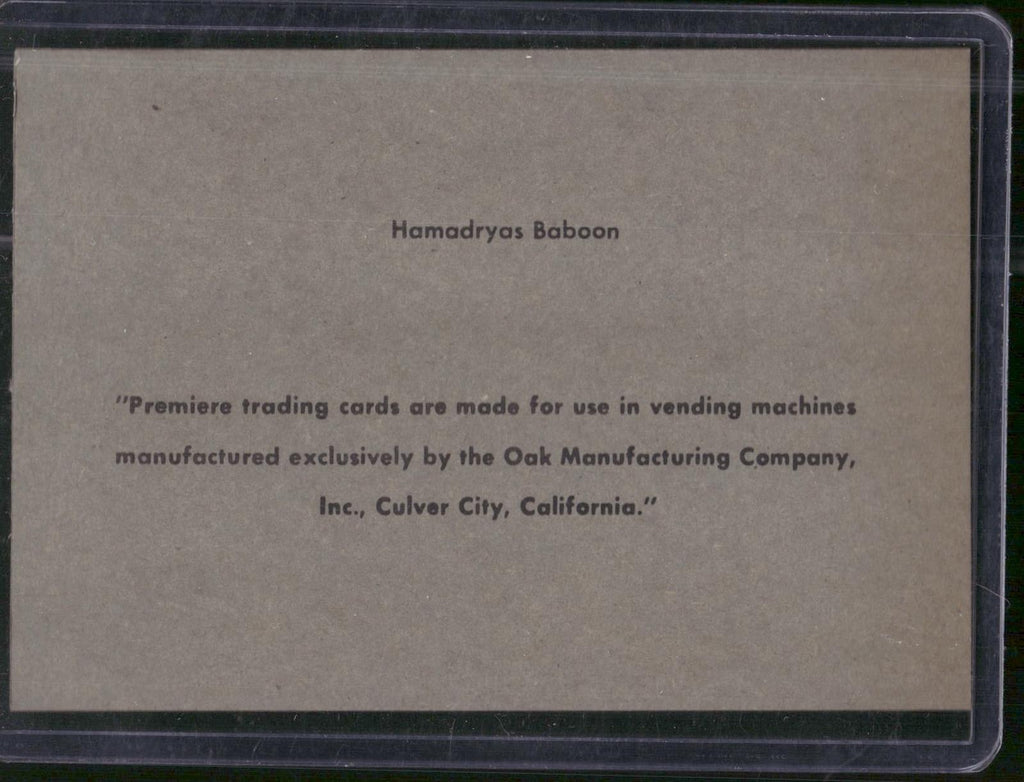 1960 Premiere/Oak Animals (R724-6) #NNO Hamadryas Baboon