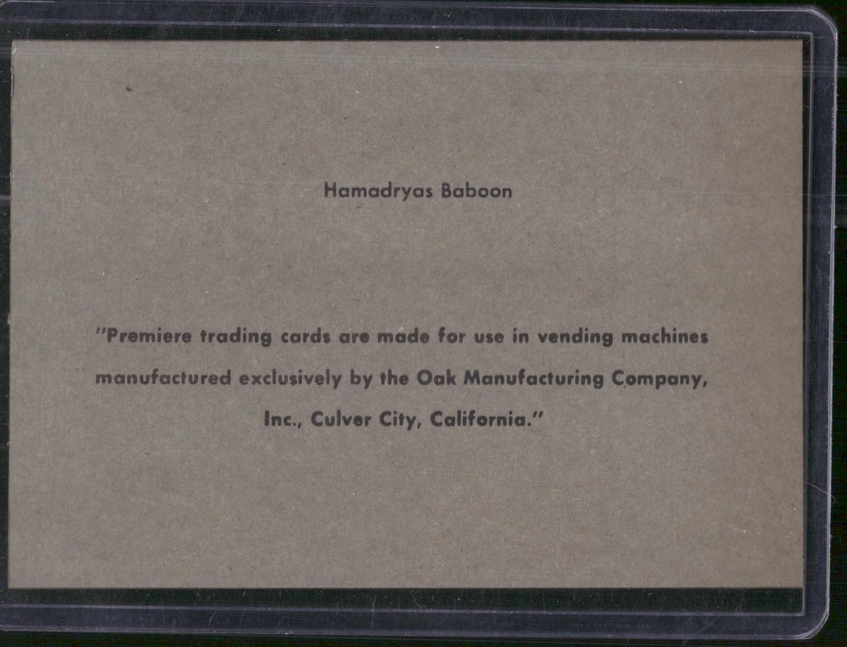1960 Premiere/Oak Animals (R724-6) #NNO Hamadryas Baboon
