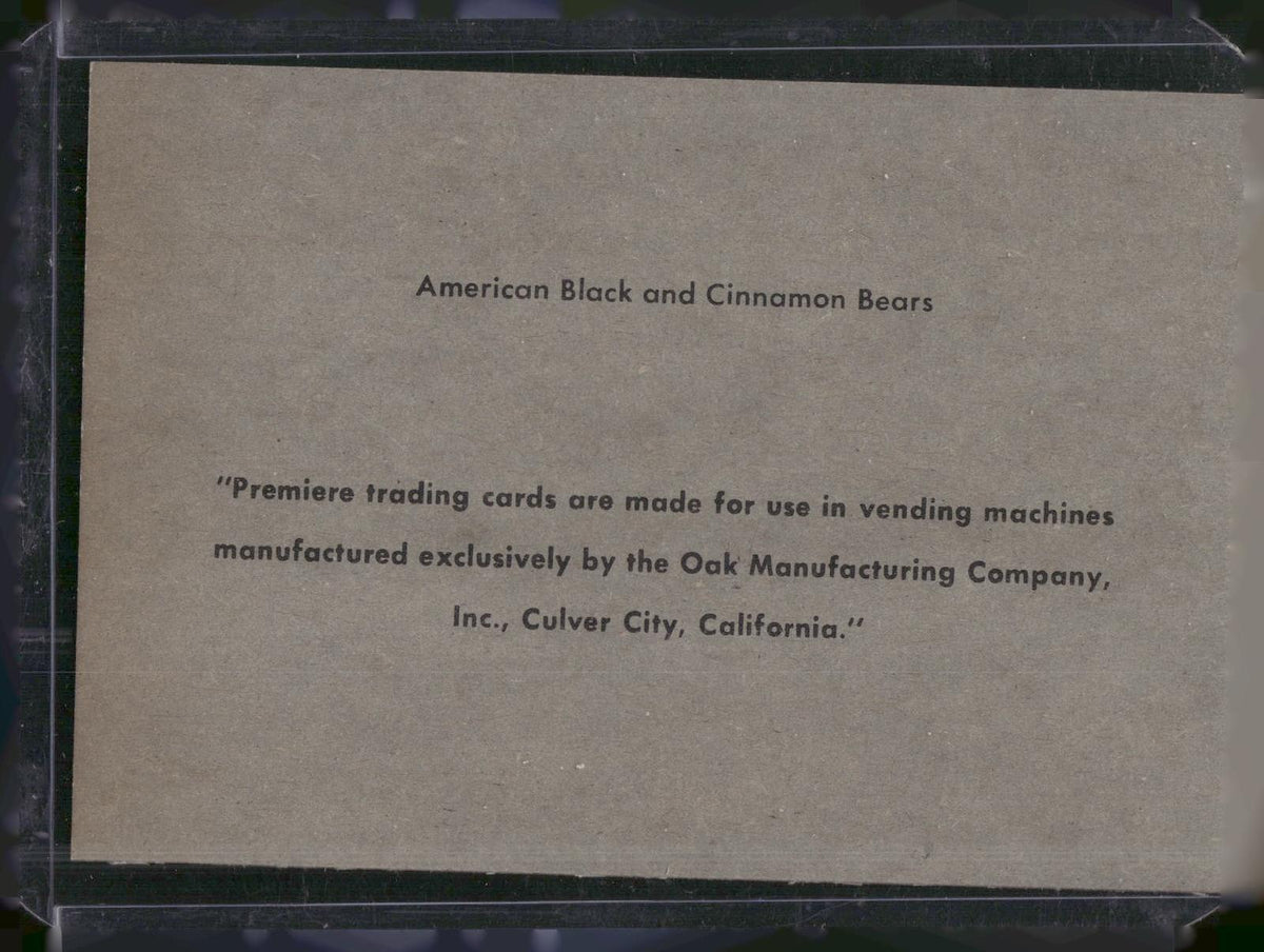 1960 Premiere/Oak Animals (R724-6) #NNO American Black Bear / Cinnamon Bear