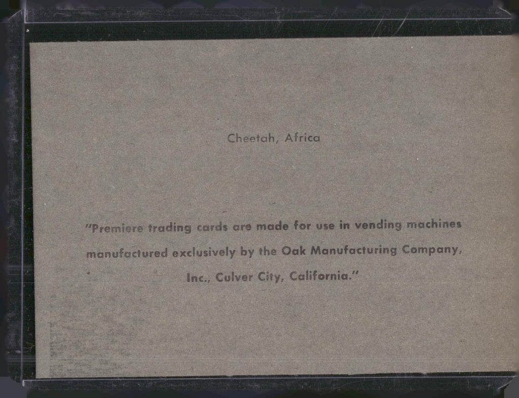 1960 Premiere/Oak Animals (R724-6) #NNO Cheetah