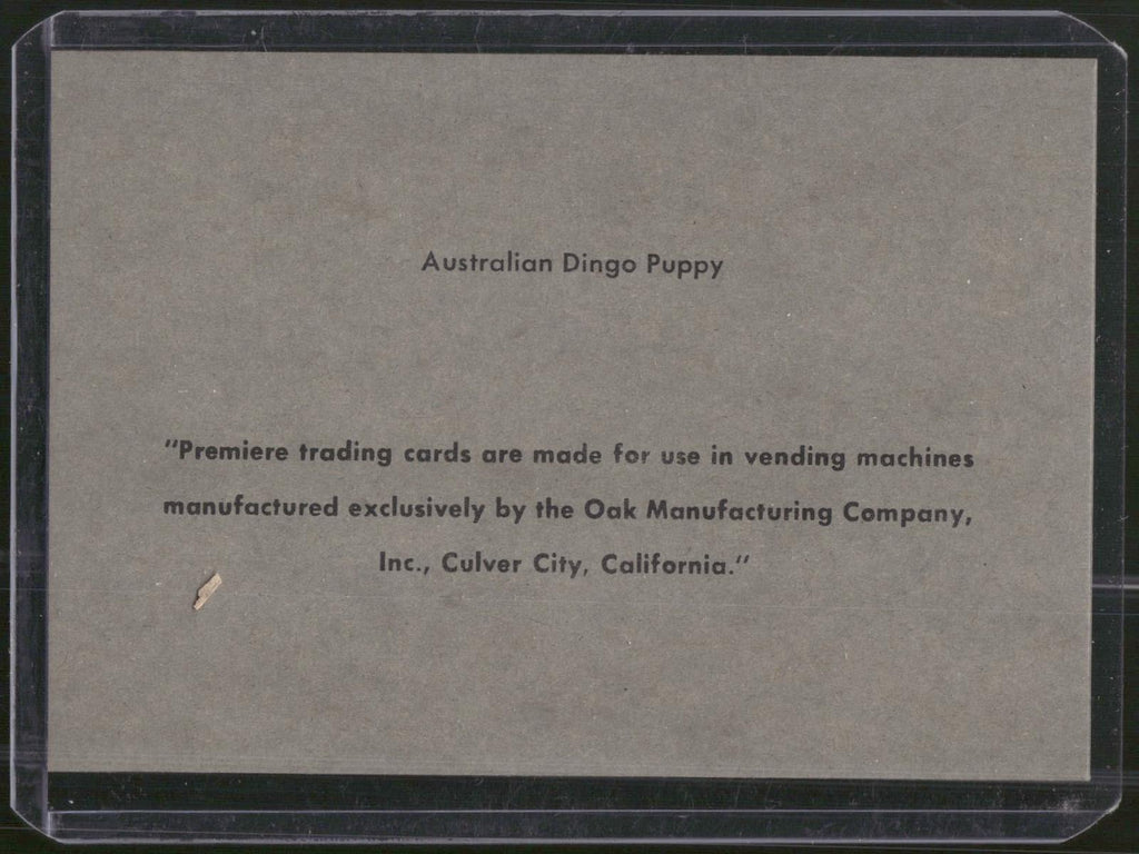 1960 Premiere/Oak Animals (R724-6) #NNO Australian Dingo Puppy