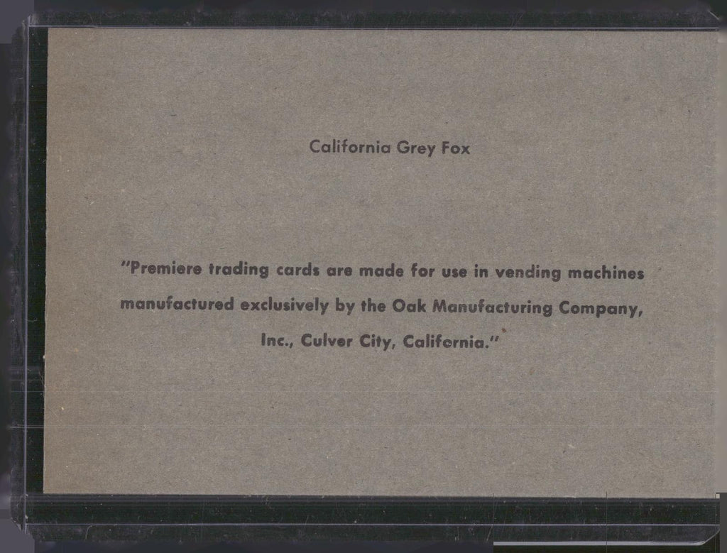1960 Premiere/Oak Animals (R724-6) #NNO California Grey Fox