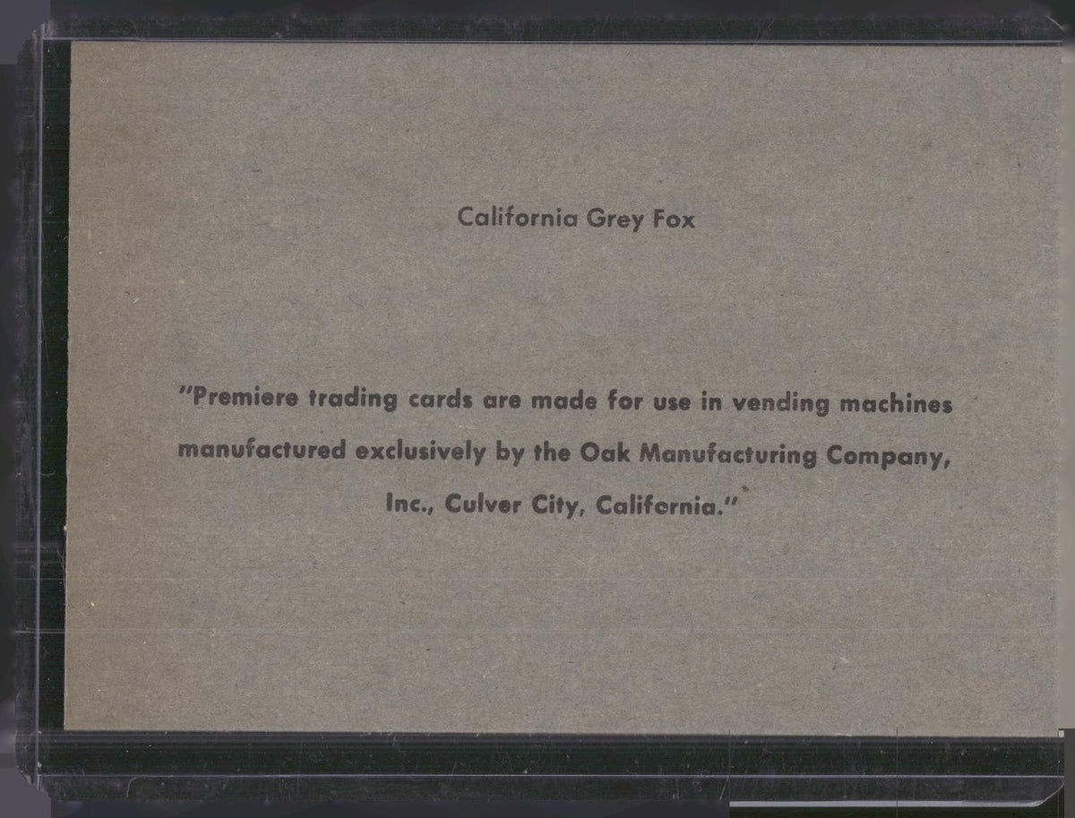 1960 Premiere/Oak Animals (R724-6) #NNO California Grey Fox