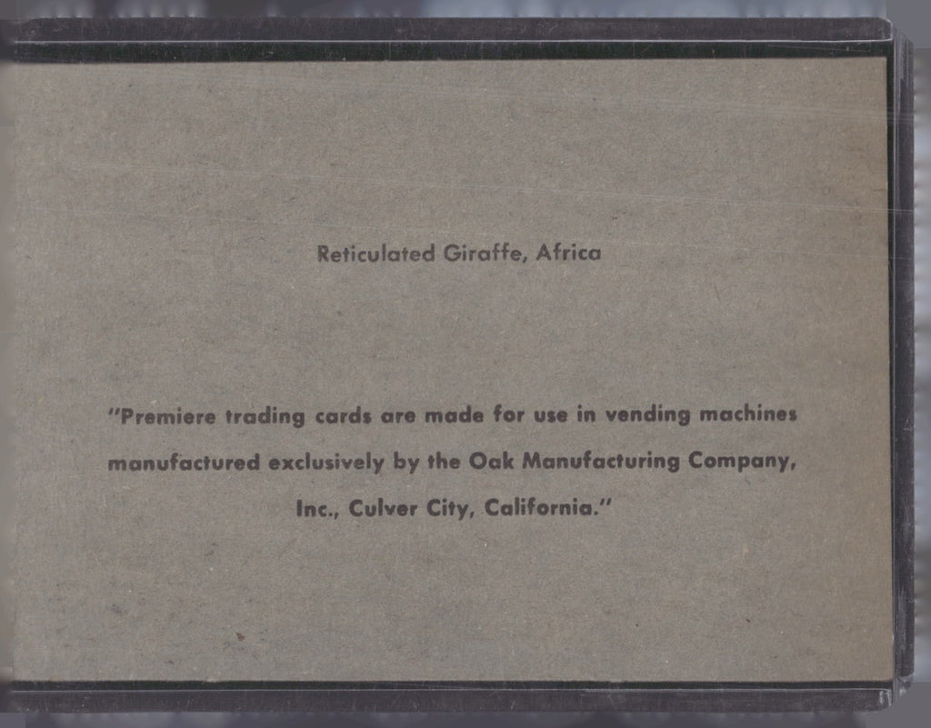 1960 Premiere/Oak Animals (R724-6) #NNO Reticulated Giraffe