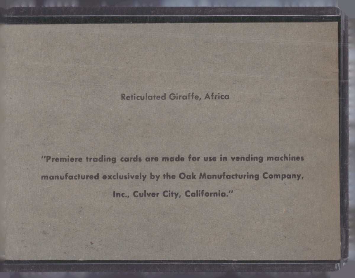 1960 Premiere/Oak Animals (R724-6) #NNO Reticulated Giraffe