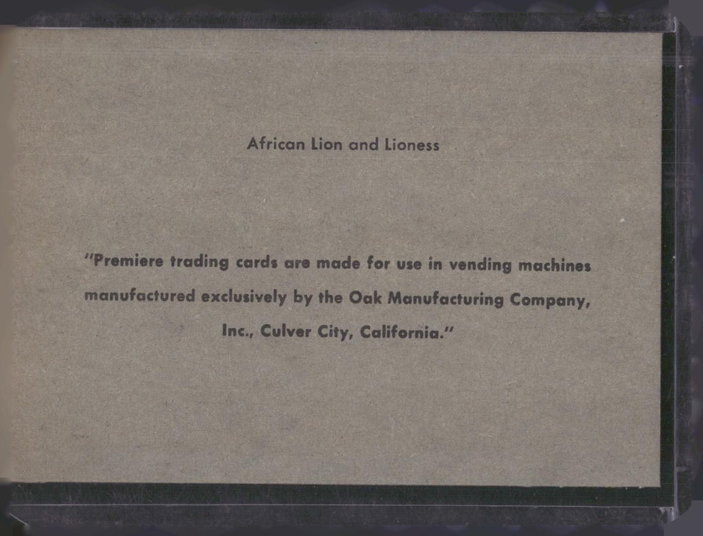 1960 Premiere/Oak Animals (R724-6) #NNO African Lion / African Lioness