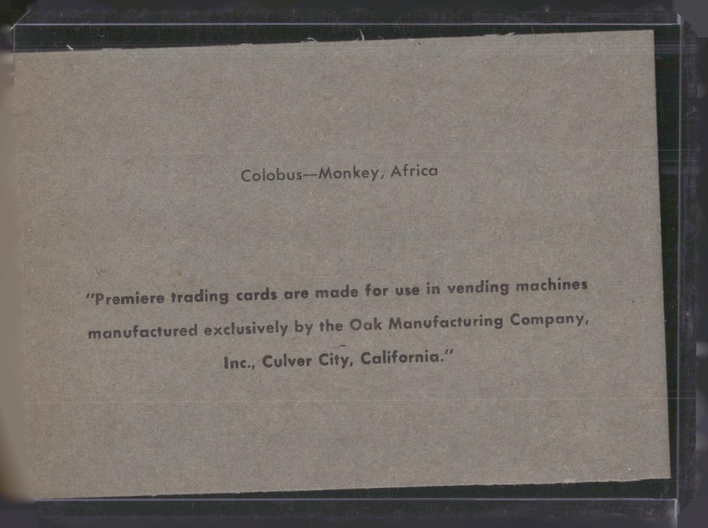 1960 Premiere/Oak Animals (R724-6) #NNO Colobus-Monkey