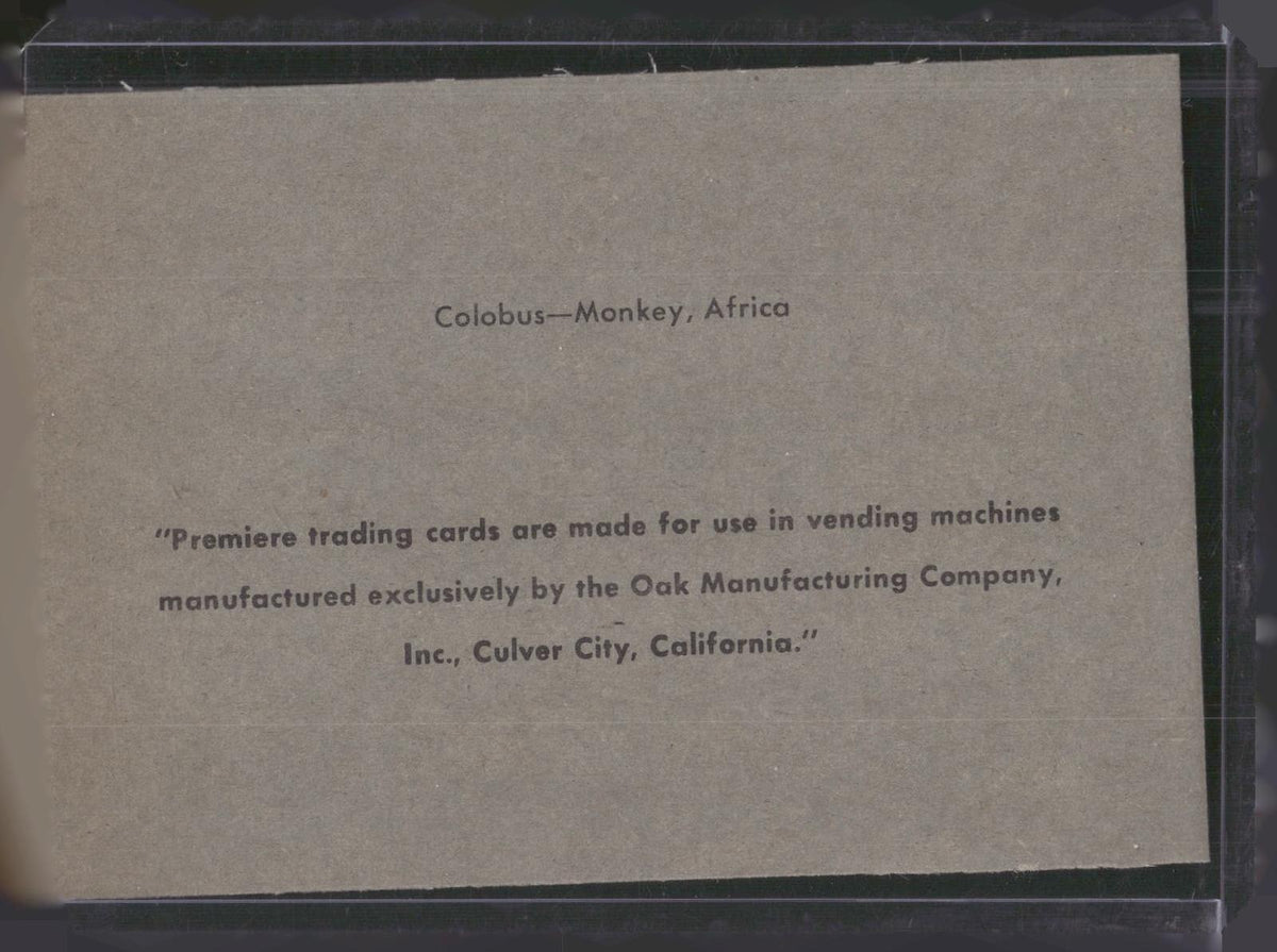 1960 Premiere/Oak Animals (R724-6) #NNO Colobus-Monkey