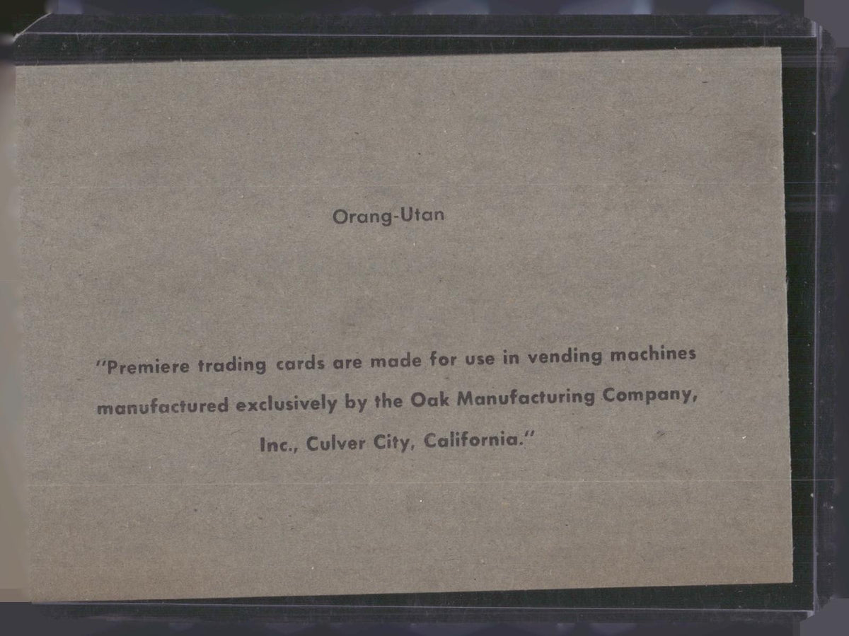 1960 Premiere/Oak Animals (R724-6) #NNO Orang-Utan