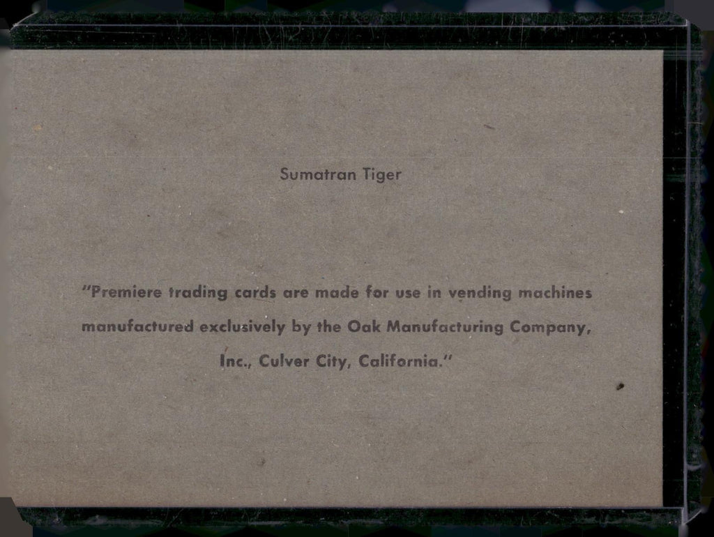 1960 Premiere/Oak Animals (R724-6) #NNO Sumatran Tiger