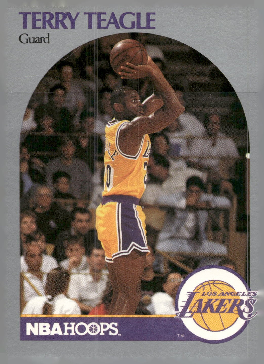 1990-91 Hoops #416 Terry Teagle