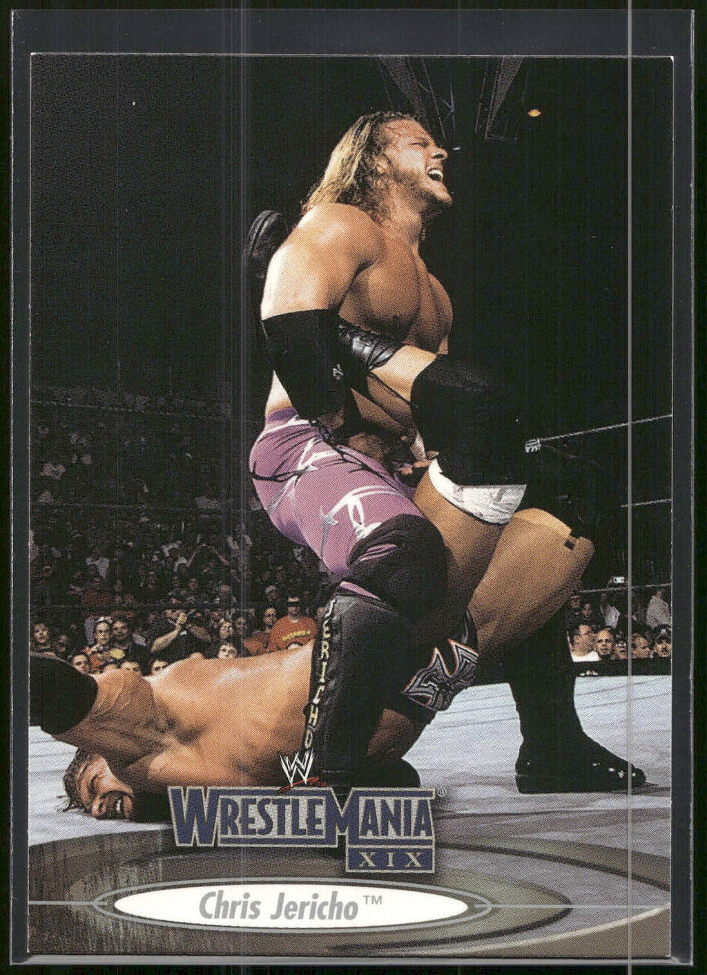 2003 Fleer WWE WrestleMania XIX #31 Chris Jericho