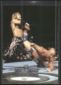 2003 Fleer WWE WrestleMania XIX #19 Edge