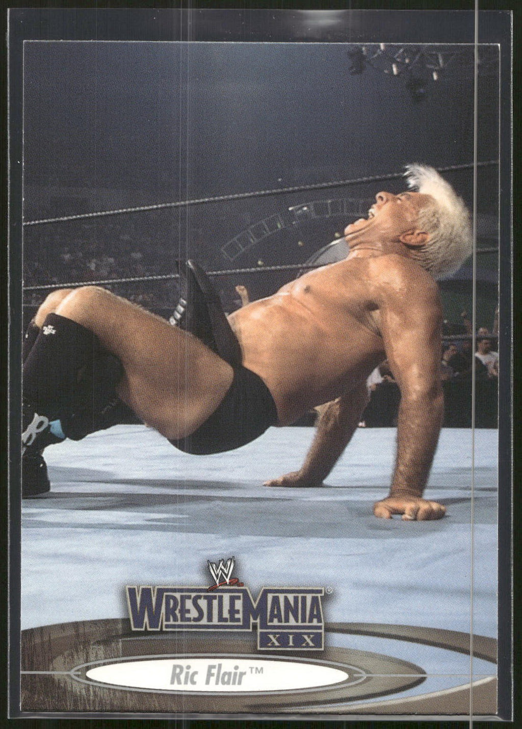 2003 Fleer WWE WrestleMania XIX #21 Ric Flair