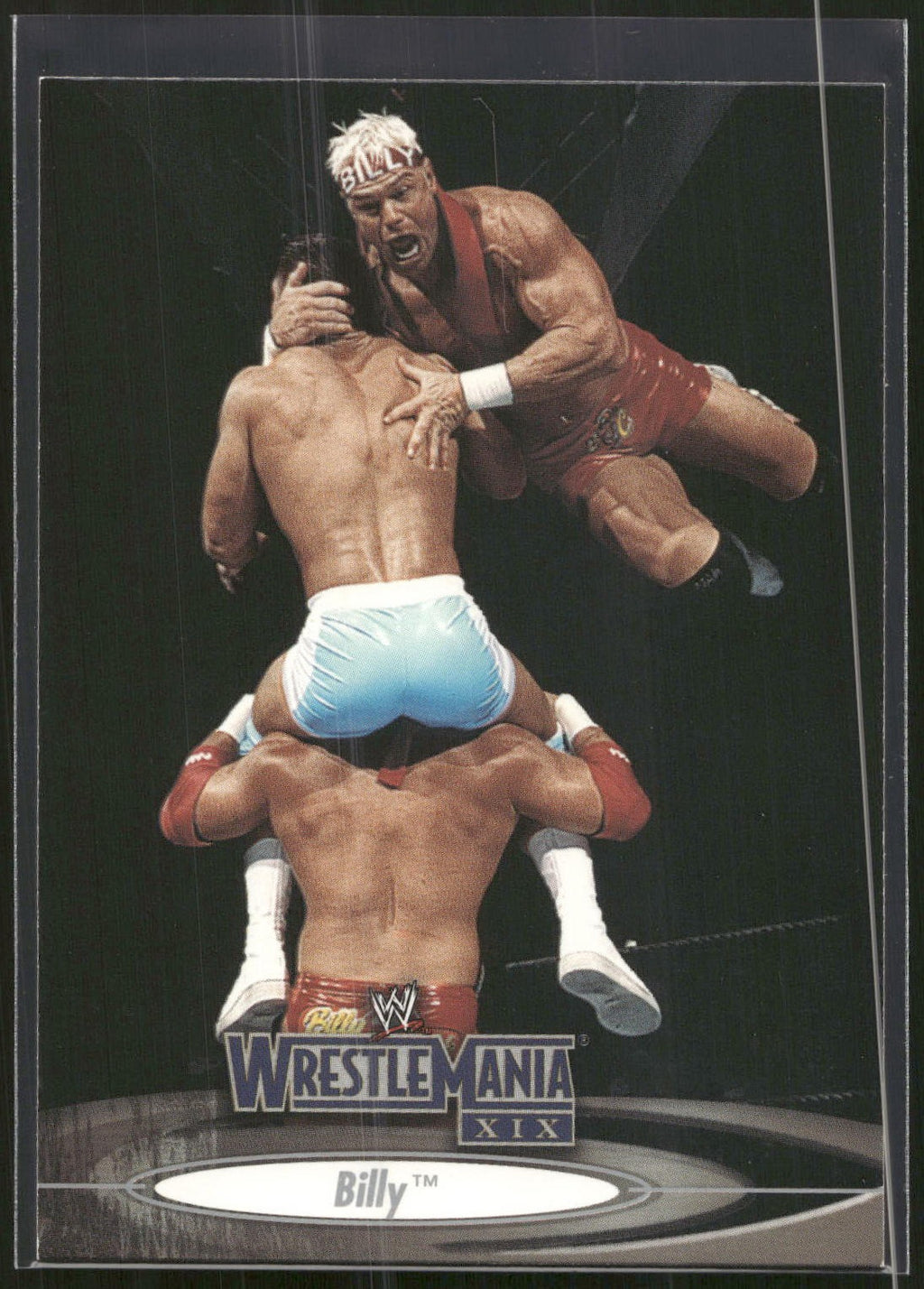 2003 Fleer WWE WrestleMania XIX #8 Billy Gunn