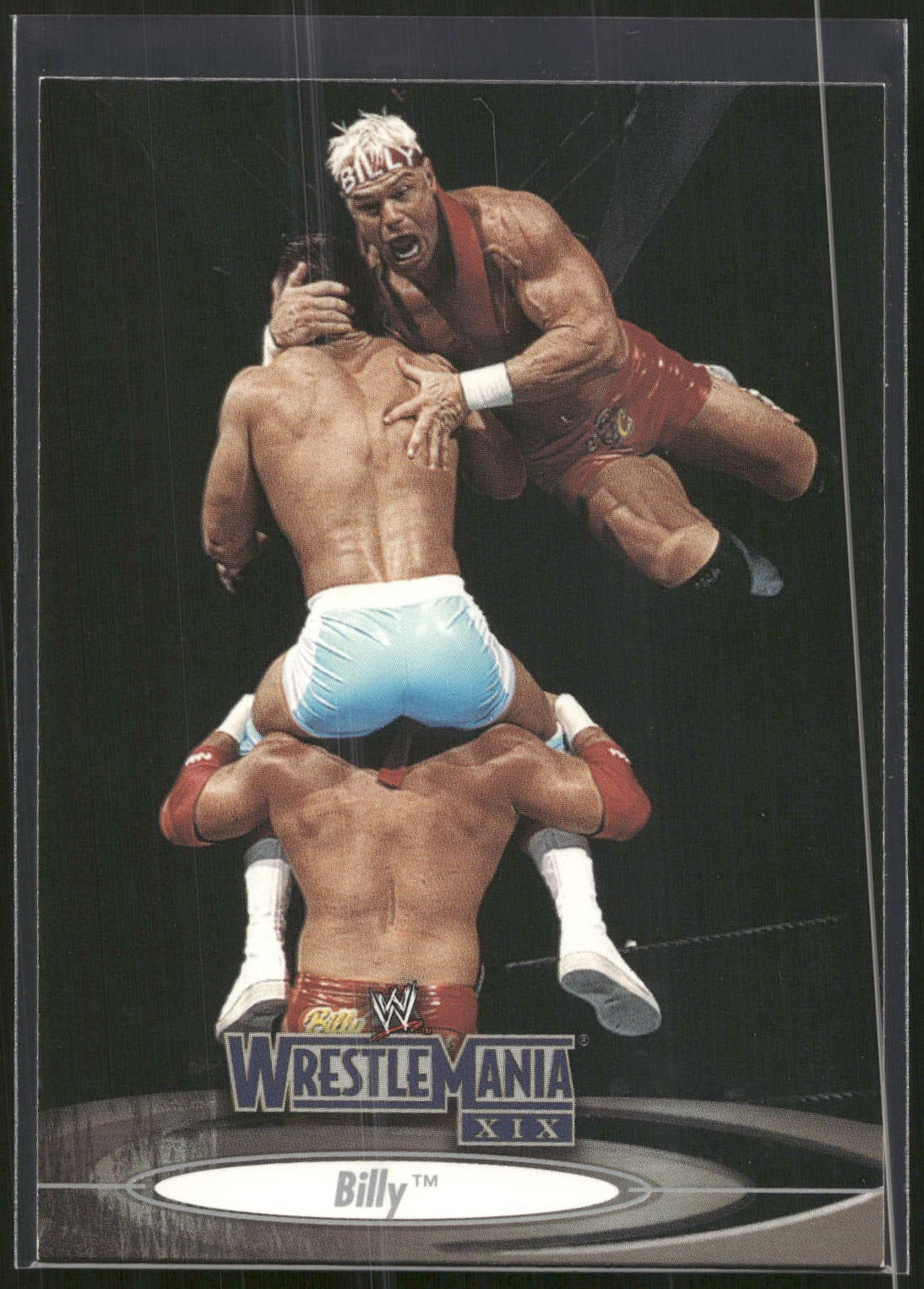2003 Fleer WWE WrestleMania XIX #8 Billy Gunn