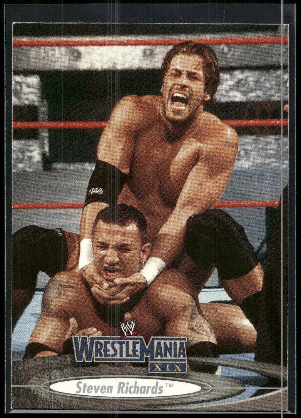 2003 Fleer WWE WrestleMania XIX #47 Steven Richards