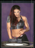 2003 Fleer WWE WrestleMania XIX #74 Lita