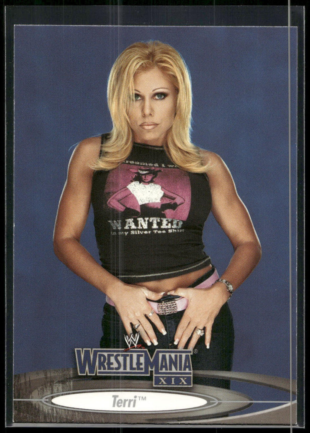 2003 Fleer WWE WrestleMania XIX #71 Terri