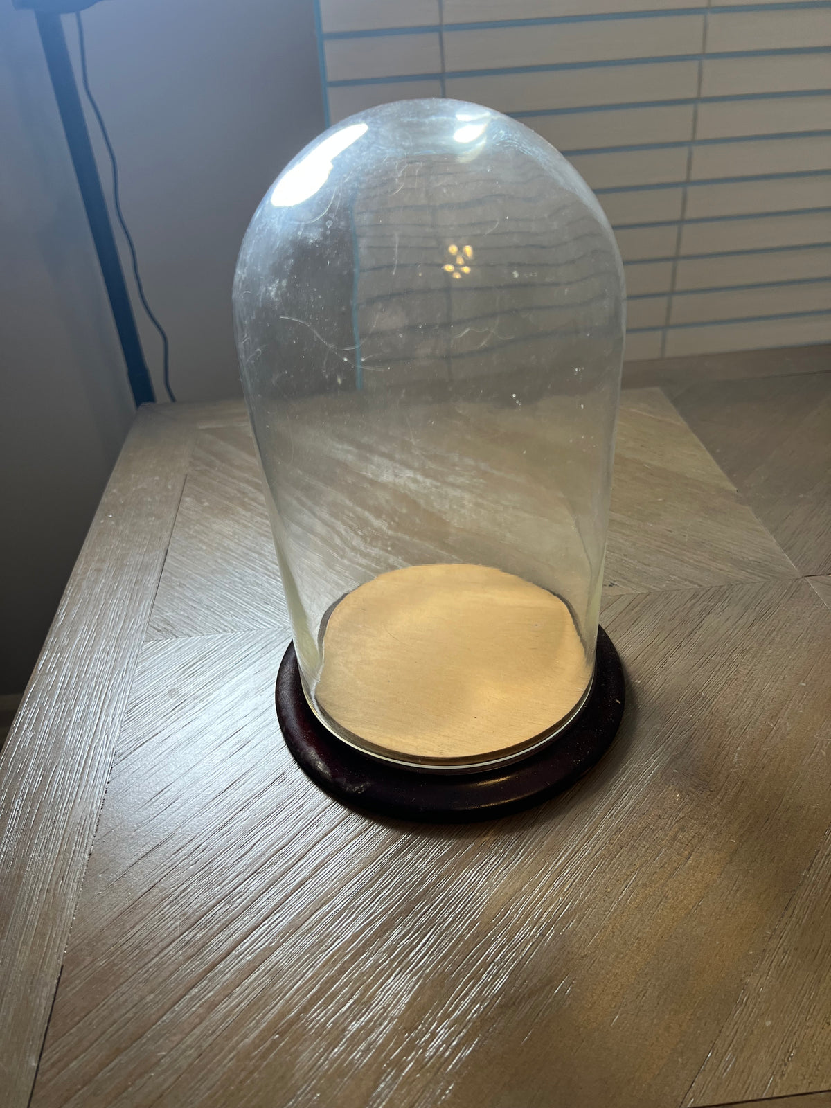 10 Inch Clear Glass Display Dome Cloche Wooden Base