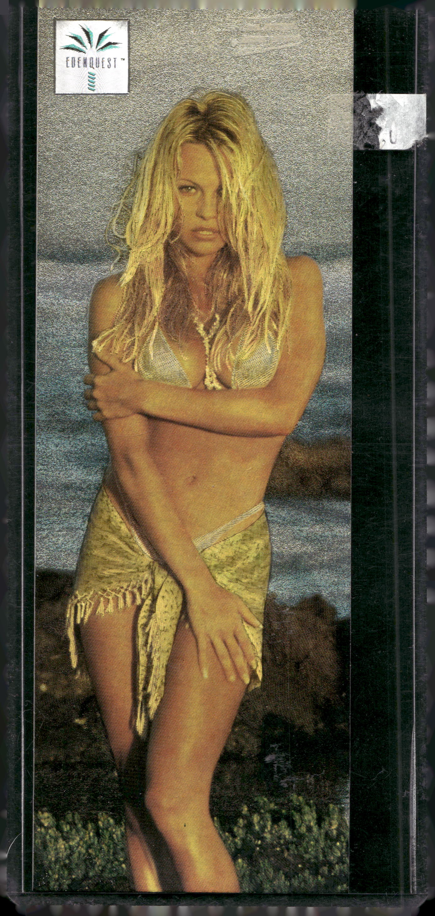 1995 Pamela Anderson EdenQuest Complete 14 Card Set