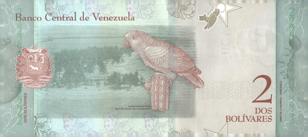 83 World Banknote Lot with 100 3-Pocket Currency Album Pages